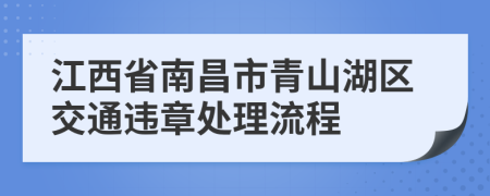 江西省南昌市青山湖区交通违章处理流程