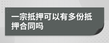 一宗抵押可以有多份抵押合同吗