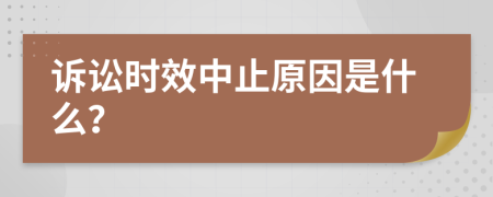 诉讼时效中止原因是什么？