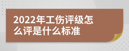 2022年工伤评级怎么评是什么标准