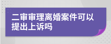 二审审理离婚案件可以提出上诉吗