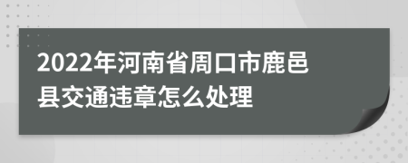 2022年河南省周口市鹿邑县交通违章怎么处理