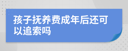 孩子抚养费成年后还可以追索吗