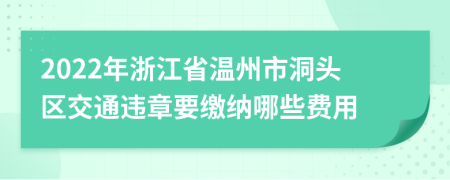 2022年浙江省温州市洞头区交通违章要缴纳哪些费用