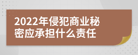 2022年侵犯商业秘密应承担什么责任