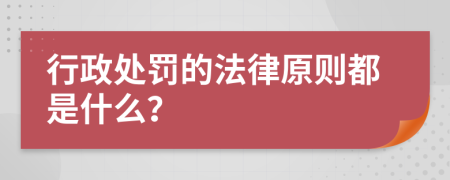 行政处罚的法律原则都是什么？