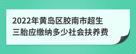 2022年黄岛区胶南市超生三胎应缴纳多少社会扶养费