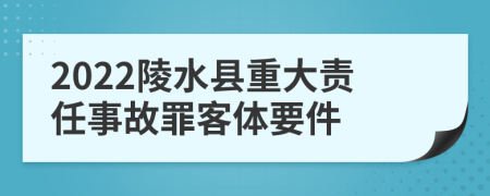 2022陵水县重大责任事故罪客体要件