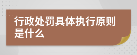 行政处罚具体执行原则是什么
