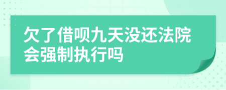 欠了借呗九天没还法院会强制执行吗