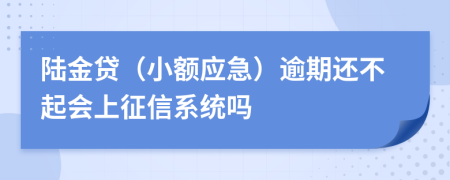陆金贷（小额应急）逾期还不起会上征信系统吗