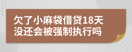 欠了小麻袋借贷18天没还会被强制执行吗