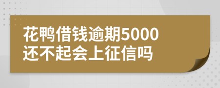 花鸭借钱逾期5000还不起会上征信吗