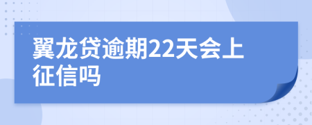 翼龙贷逾期22天会上征信吗