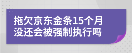 拖欠京东金条15个月没还会被强制执行吗