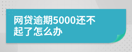 网贷逾期5000还不起了怎么办