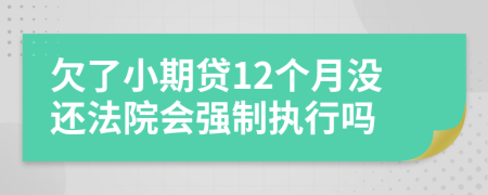 欠了小期贷12个月没还法院会强制执行吗