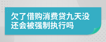 欠了借购消费贷九天没还会被强制执行吗