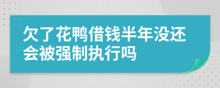 欠了花鸭借钱半年没还会被强制执行吗