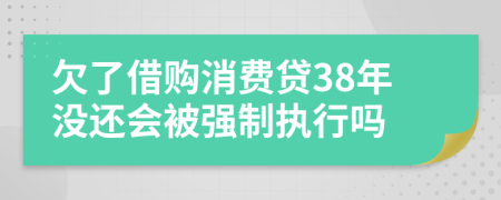 欠了借购消费贷38年没还会被强制执行吗