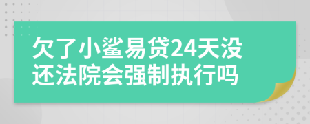 欠了小鲨易贷24天没还法院会强制执行吗