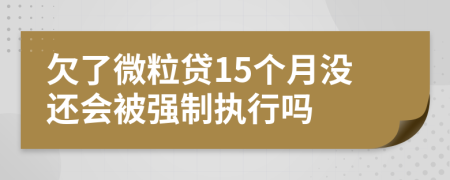 欠了微粒贷15个月没还会被强制执行吗