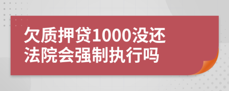 欠质押贷1000没还法院会强制执行吗