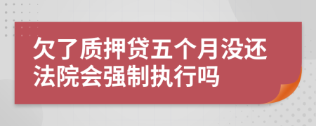 欠了质押贷五个月没还法院会强制执行吗