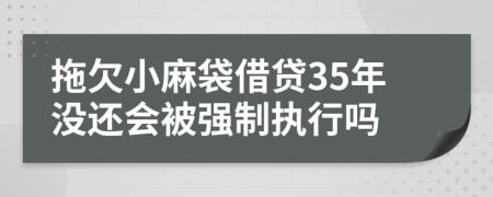 拖欠小麻袋借贷35年没还会被强制执行吗