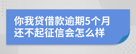 你我贷借款逾期5个月还不起征信会怎么样