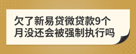 欠了新易贷微贷款9个月没还会被强制执行吗