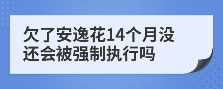 欠了安逸花14个月没还会被强制执行吗