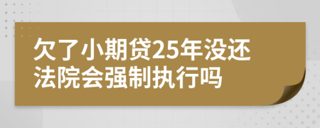 欠了小期贷25年没还法院会强制执行吗