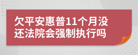 欠平安惠普11个月没还法院会强制执行吗