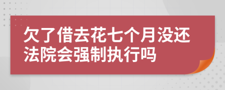 欠了借去花七个月没还法院会强制执行吗