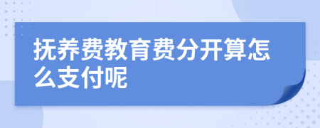 抚养费教育费分开算怎么支付呢