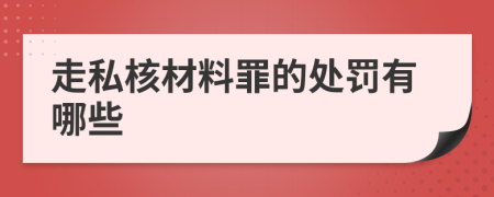 走私核材料罪的处罚有哪些