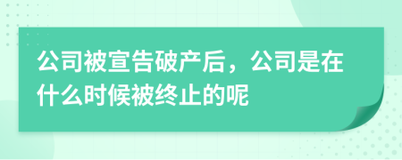 公司被宣告破产后，公司是在什么时候被终止的呢