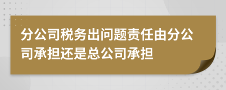 分公司税务出问题责任由分公司承担还是总公司承担