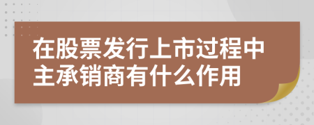 在股票发行上市过程中主承销商有什么作用