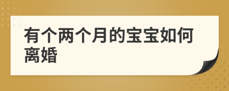 有个两个月的宝宝如何离婚