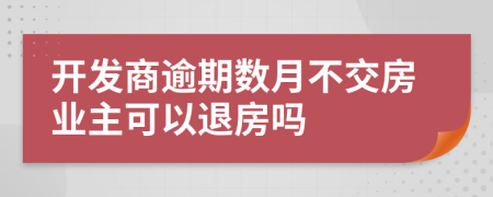 开发商逾期数月不交房业主可以退房吗