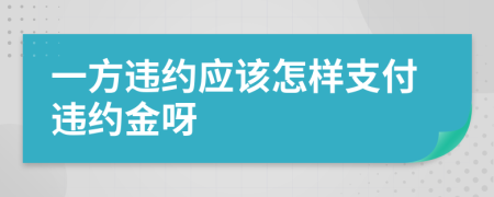 一方违约应该怎样支付违约金呀