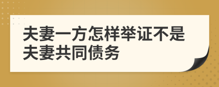 夫妻一方怎样举证不是夫妻共同债务