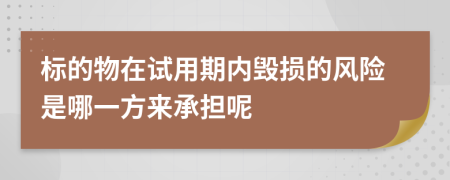 标的物在试用期内毁损的风险是哪一方来承担呢