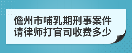 儋州市哺乳期刑事案件请律师打官司收费多少