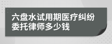 六盘水试用期医疗纠纷委托律师多少钱