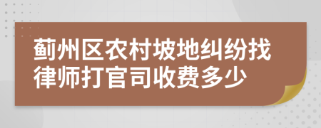 蓟州区农村坡地纠纷找律师打官司收费多少