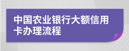 中国农业银行大额信用卡办理流程