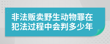 非法贩卖野生动物罪在犯法过程中会判多少年